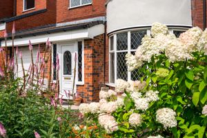 Photo 43- click for photo gallery